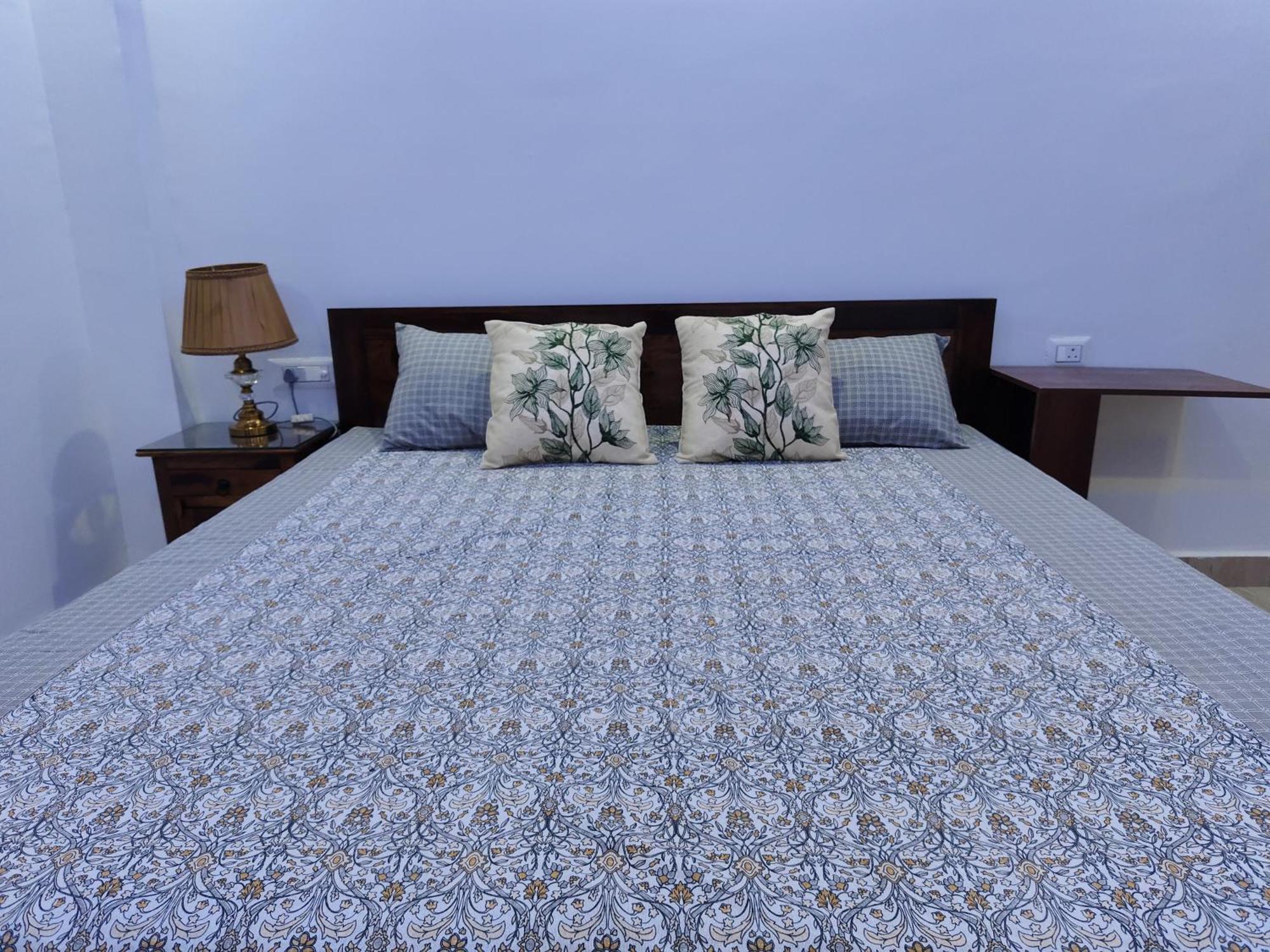 Divisha Homes 1bhk At South Delhi Apartment *